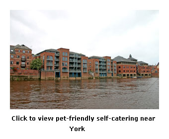 where can I find pet friendly self-catering near York