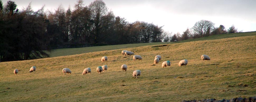 yorkshire dales