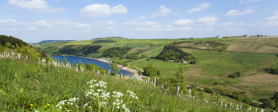 scammondell  dam is a scenic place for a walk with the dog on holiday in yorkshire