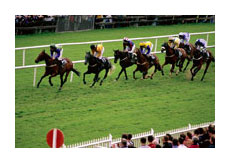 self catering accommodation near york for the races