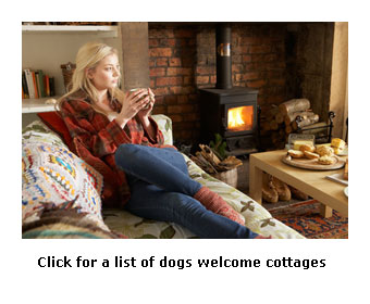 discover dogs welcome holiday cottages yorkshire