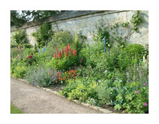 Helmsley walled garden in Yorkshire